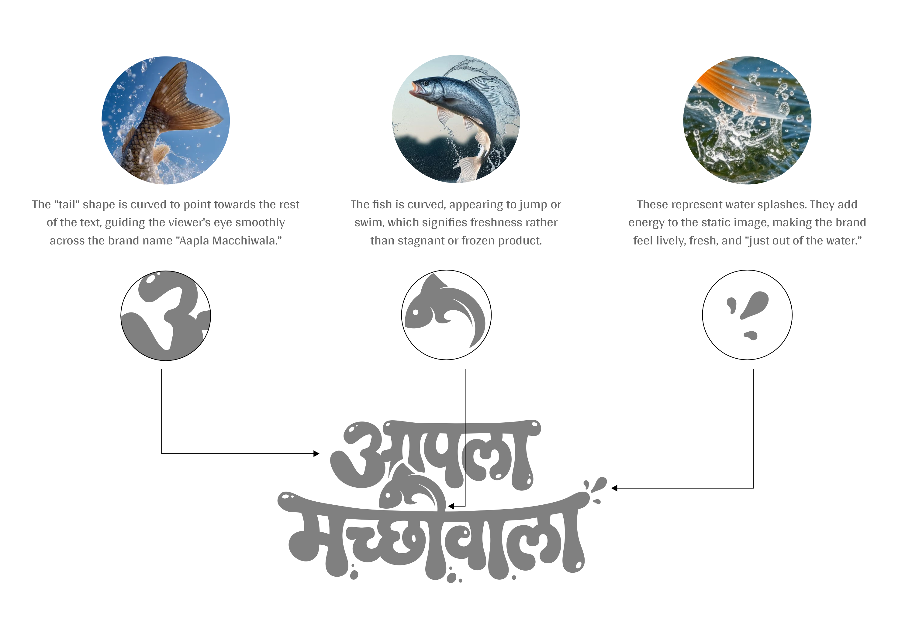 Aapla Macchiwala logo concept — the fish tail, jumping fish, and water splashes built into the Marathi wordmark