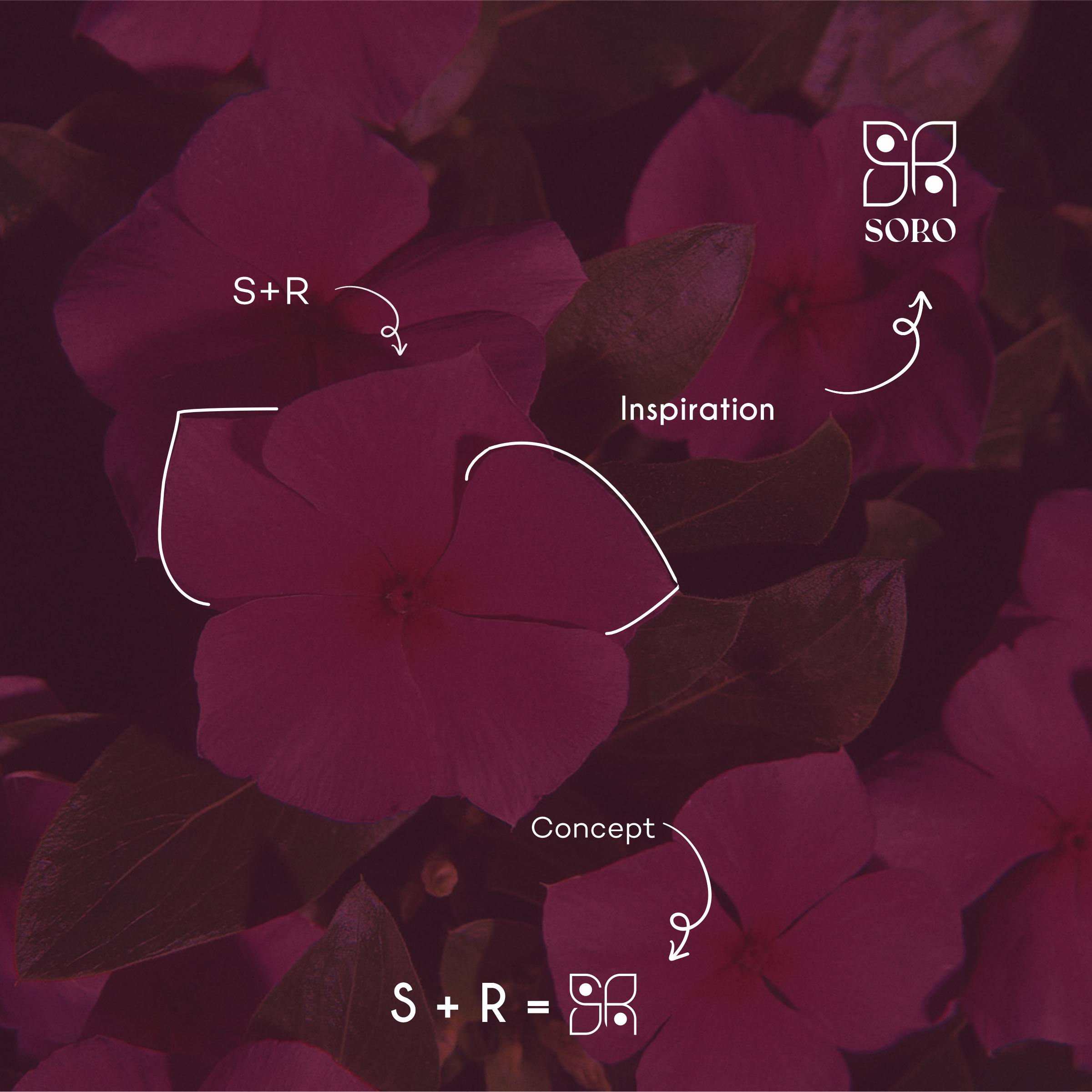 Soro logo concept — the periwinkle bloom forming the S+R monogram